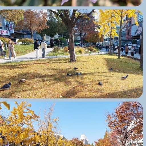피드 이미지
