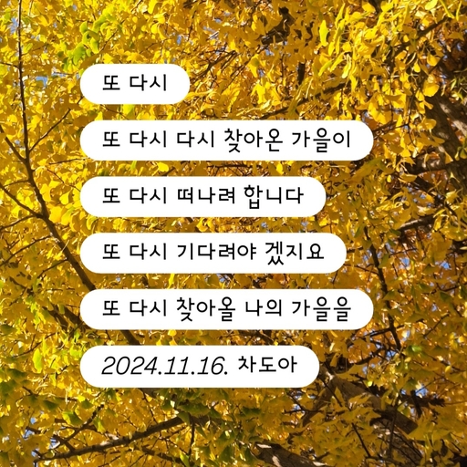 피드 이미지