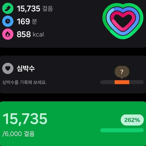피드 이미지