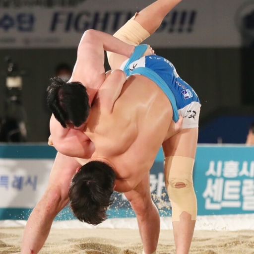 피드 이미지