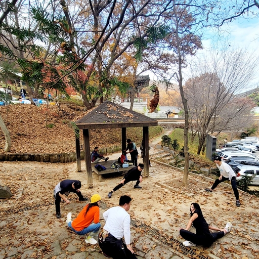 피드 이미지