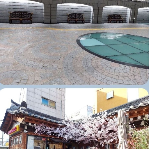 피드 이미지