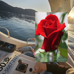 피드에 업로드 된 이미지