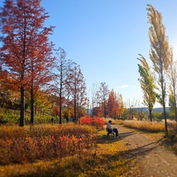 피드에 업로드 된 이미지