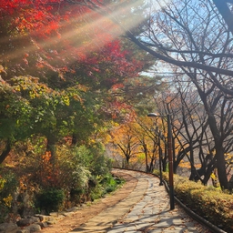 피드에 업로드 된 이미지