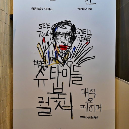 피드 이미지