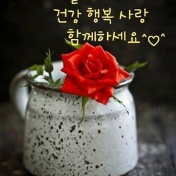 피드에 업로드 된 이미지