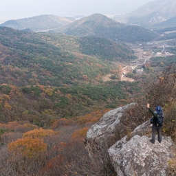 피드에 업로드 된 이미지