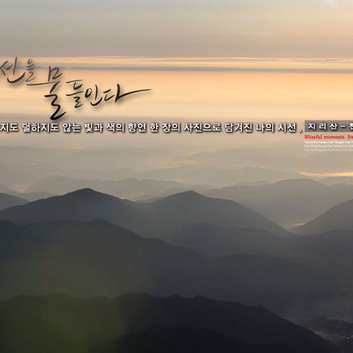 피드 이미지