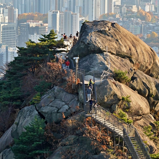 피드 이미지