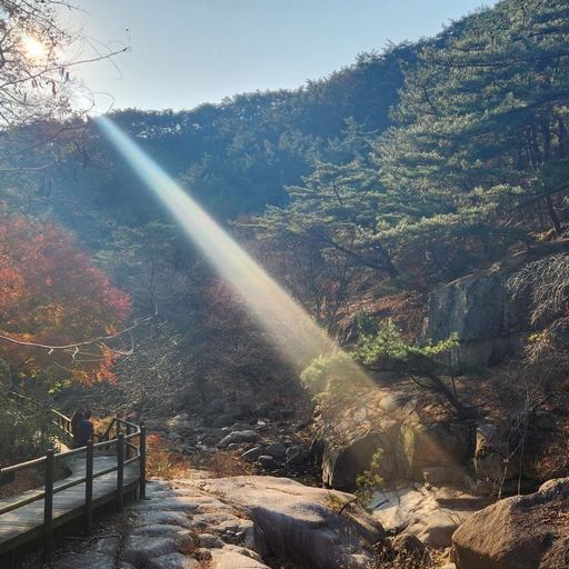 피드 이미지