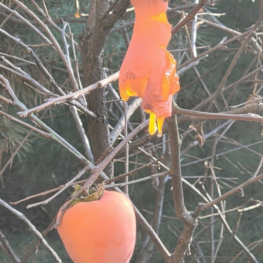 피드 이미지