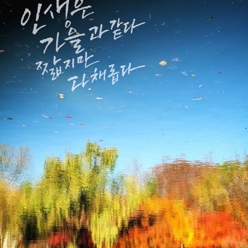 피드 이미지