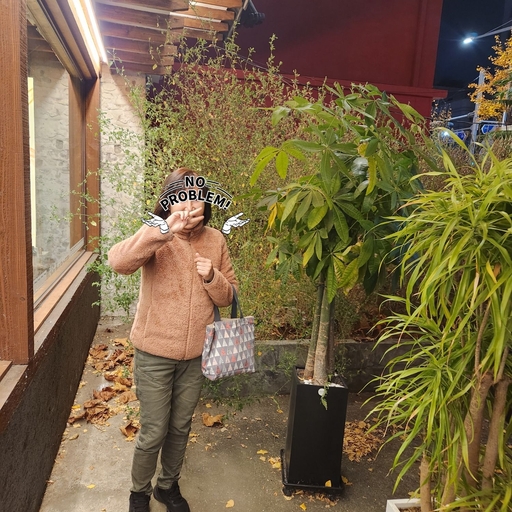 피드 이미지