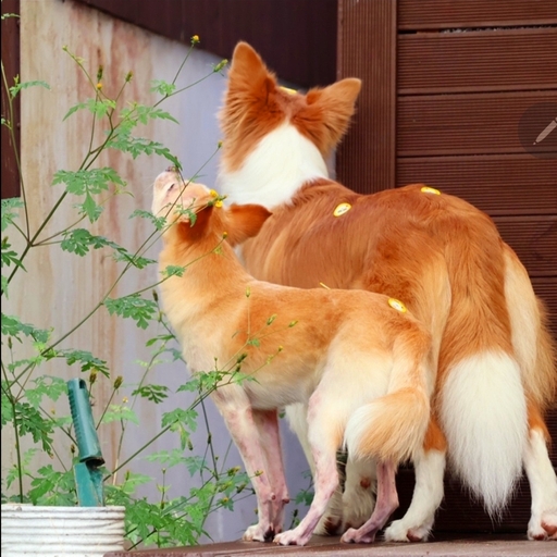 피드 이미지