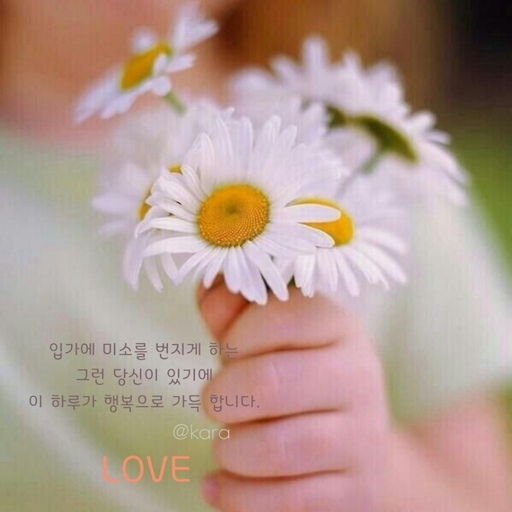 피드 이미지