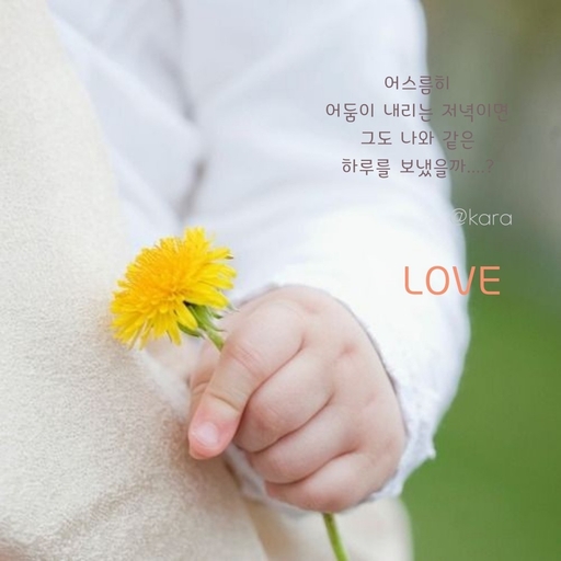 피드 이미지