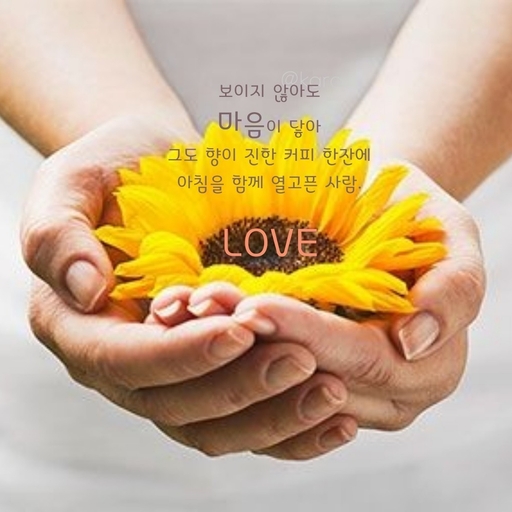 피드 이미지