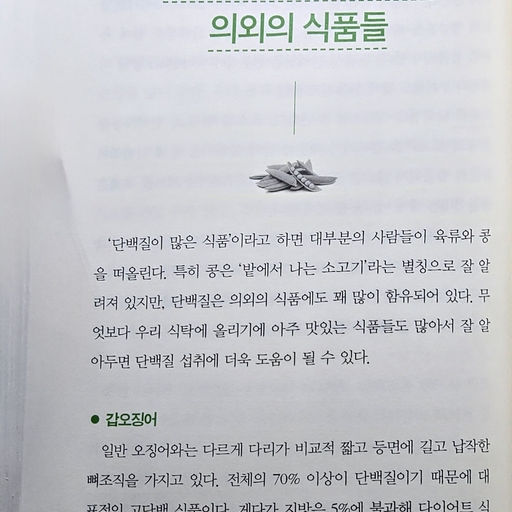 피드 이미지