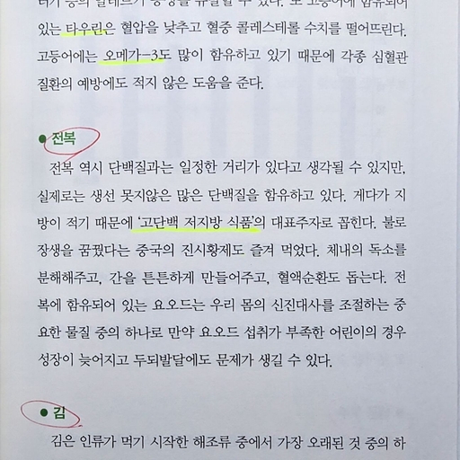피드 이미지