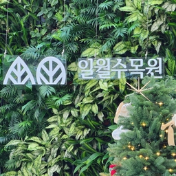 피드에 업로드 된 이미지