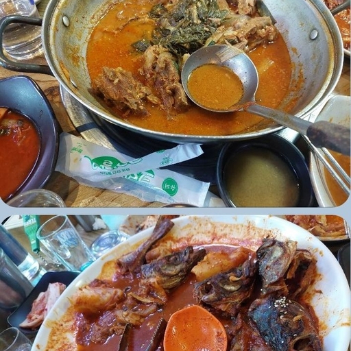 피드 이미지