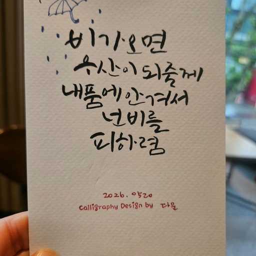 피드 이미지