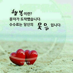 피드에 업로드 된 이미지