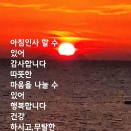 피드에 업로드 된 이미지