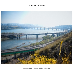 피드에 업로드 된 이미지