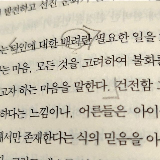 피드 이미지