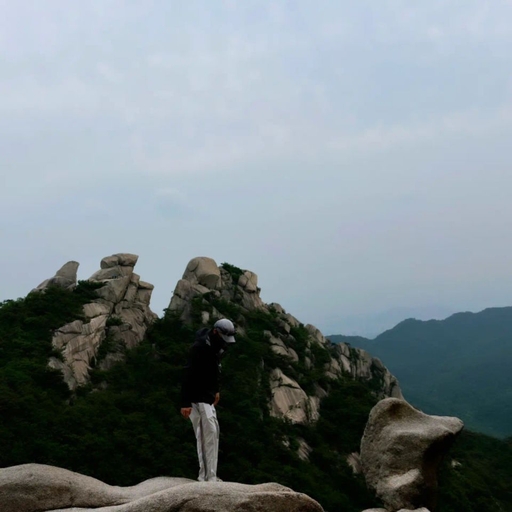 피드 이미지