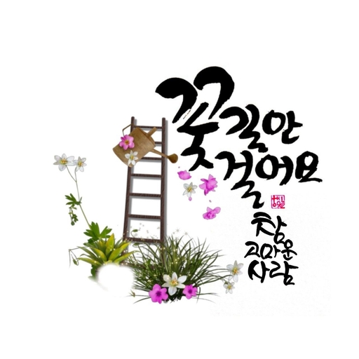 피드 이미지