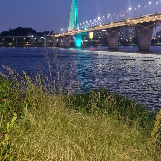 피드 이미지