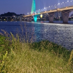 피드에 업로드 된 이미지