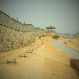 피드에 업로드 된 이미지