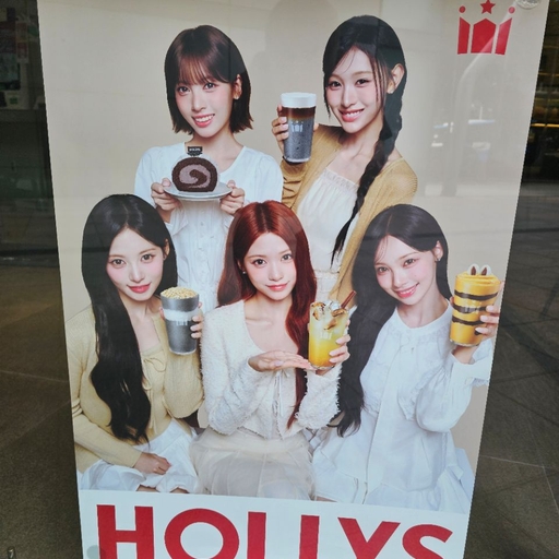 피드 이미지
