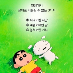 피드에 업로드 된 이미지