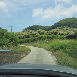 피드에 업로드 된 이미지