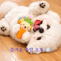 피드에 업로드 된 이미지