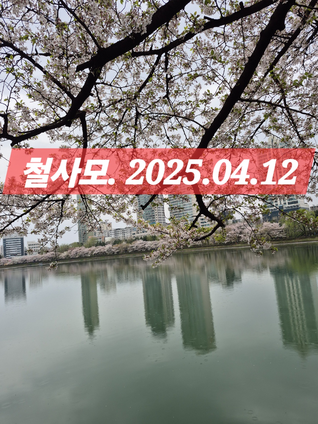 피드에 업로드 된 이미지
