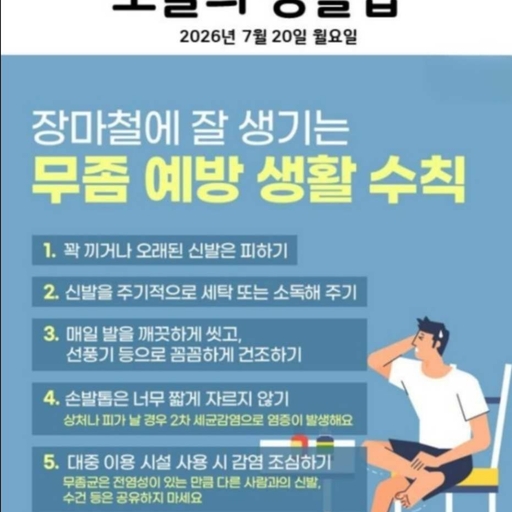 피드 이미지
