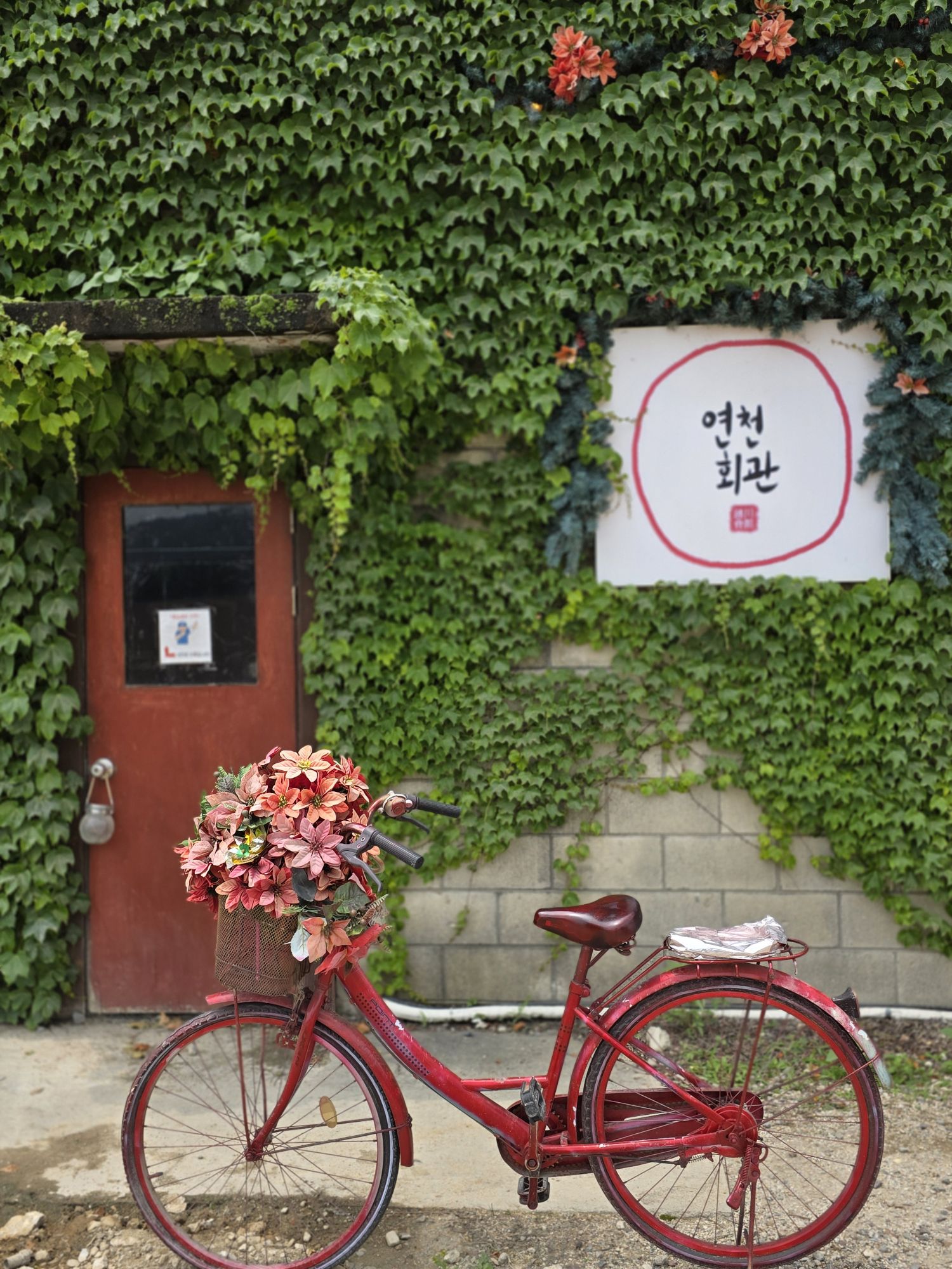 피드 이미지