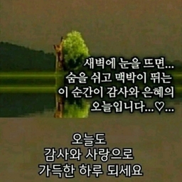 피드에 업로드 된 이미지
