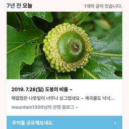 피드에 업로드 된 이미지