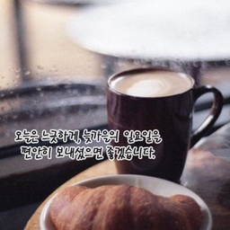 피드에 업로드 된 이미지