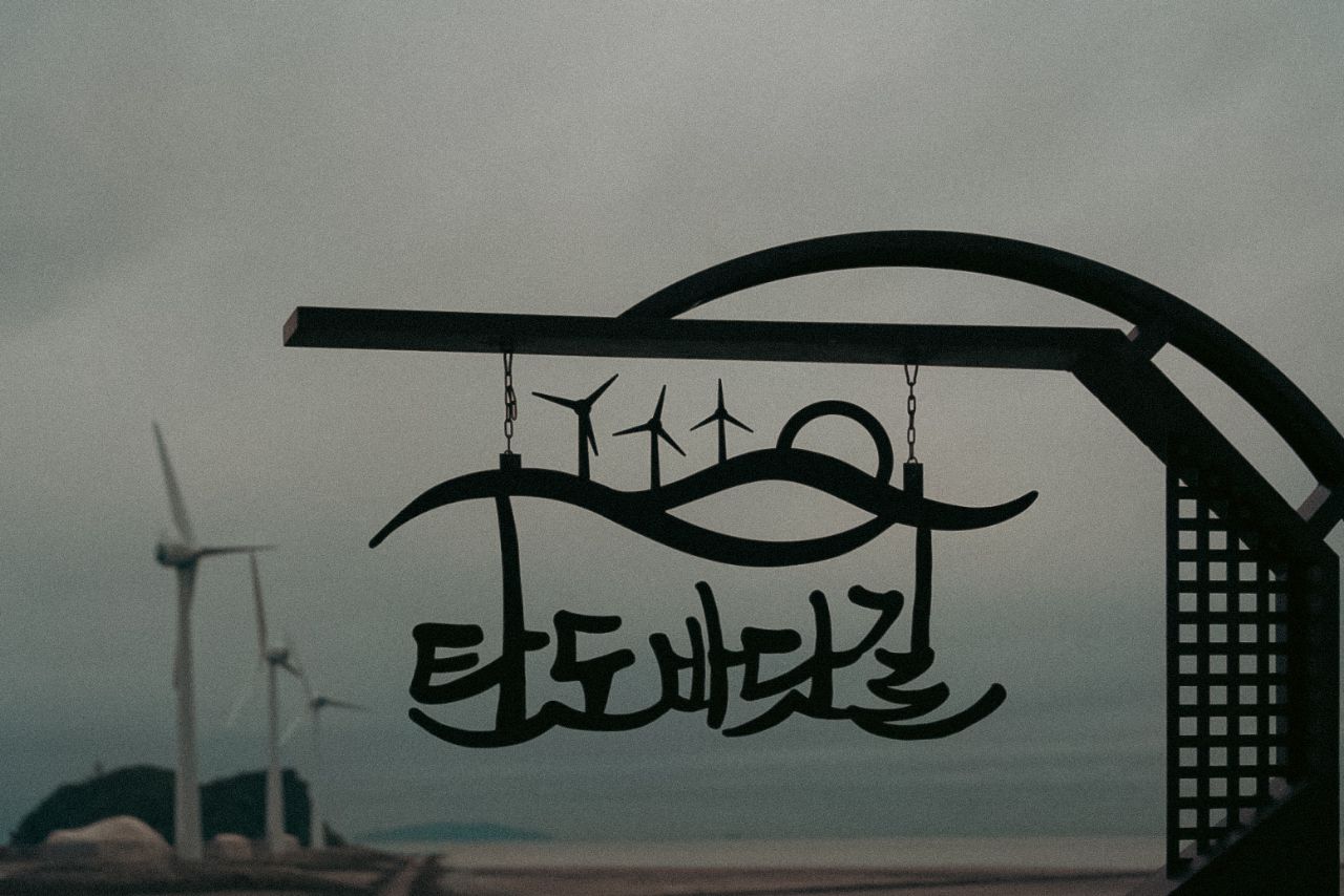 피드 이미지