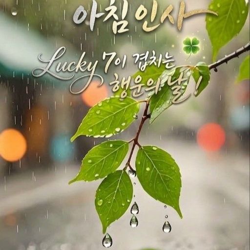 피드 이미지