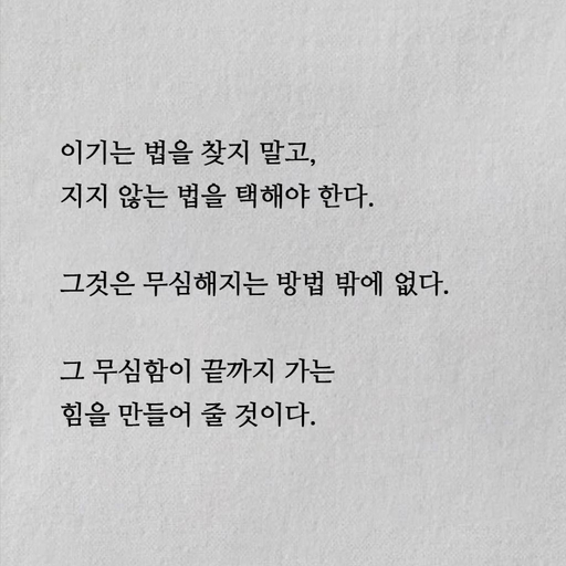 피드 이미지