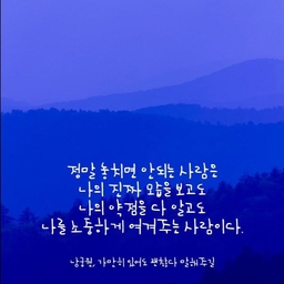 피드에 업로드 된 이미지